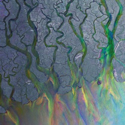 alt-J - Taro