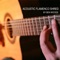 Acoustic Flamenco Shred - Ben Woods lyrics