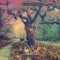 Ear on the Fool (Demo) - Royal Thunder lyrics