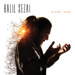 Halil Sezai - Git