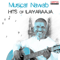 Ilaiyaraaja - Musical Nawab: Hits of Ilaiyaraaja artwork