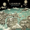 Ligabue - Il Muro del Suono (Live)