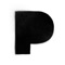 Raccoons - Pavel Petrov lyrics