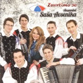 Zavrtimo Se artwork