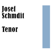 Turandot: Nessun Dorma - Josef Schmidt