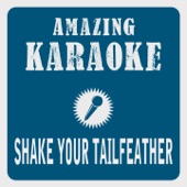 Shake Your Tailfeather (Karaoke Version) [Originally Performed By Ray Charles & The Blues Brothers] artwork