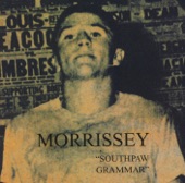 Morrissey - Do Your Best And Don't Worry