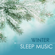 Winter Sleep Music - Winter Sleep Music Academy