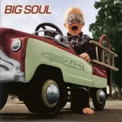 Love Crazy - Big Soul