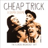 Cheap Trick - I Want You to Want Me (Live)