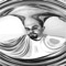 Music of the Earth - Joshua Alperstein lyrics