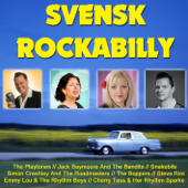 Svensk Rockabilly - Various Artists