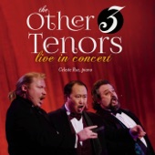 The Other 3 Tenors Live in Concert artwork