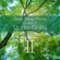 My Neighbor Totoro - Relax α Wave