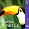 L'aube dans la forêt (Costa Rica) - Nature Sounds - Sons de la nature lyrics