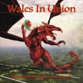 Wales In Union 2015 artwork