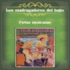 Los Madrugadores Del Bajio - El Muchacho Alegre