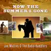 Stream & download Now the Summer's Gone - Single