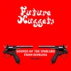 Future Nuggets: Sounds of the Unheard from Romania, Vol. 1, 2015