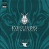 Everything for a Reason (Remixes) - Single