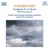 Tchaikovsky: Symphony No. 5 & The Storm album lyrics, reviews, download