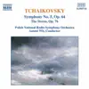 Stream & download Tchaikovsky: Symphony No. 5 & The Storm