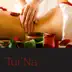 Tui'Na - Relaxing Soft Spa Music for Tui'Na Massage & Spa Treatments album cover