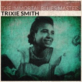 The Immortal Blues Masters artwork