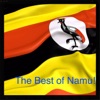 The Best of Namu!