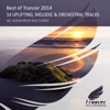 Best of Trancer 2014