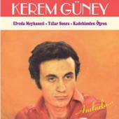 Kadehimden Öğren artwork