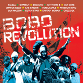 Bobo Revolution - Verschillende artiesten
