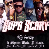 Supa Scary (feat. Shatta Wale, D-Black, Sarkodie, Mugeez & E.L.) artwork
