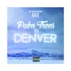 Palm Trees in Denver album lyrics, reviews, download