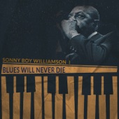 Sonny Boy Williamson I - Whiskey Head Blues