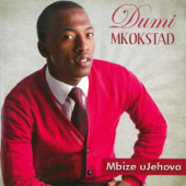 Mbize - Dumi Mkokstad
