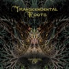 Transcendental Roots