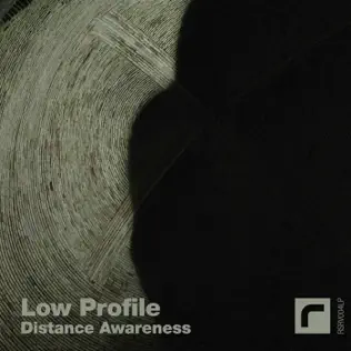 descargar álbum Low Profile - Distance Awareness