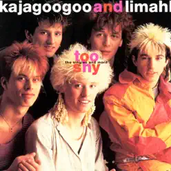 Too Shy: The Singles and More - Limahl