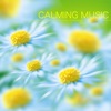 Calming Music - Calm Music and Relaxing Songs for Peace, Meditation and Balancing