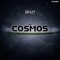 The Cosmos - Kova lyrics