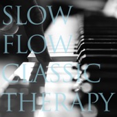 Slow Flow Classic Therapy artwork