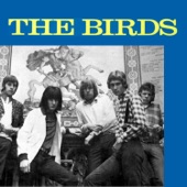 The Birds - You Don't Love Me (You Don't Care)