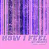 Stream & download How I Feel 2014 (Feeling Good)