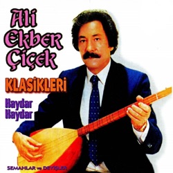 Ali Ekber Çiçek - İlahi Dostun Bağını