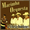 Marimba Orquesta