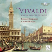 Violin Concerto in E Minor, RV 280: II. Largo artwork