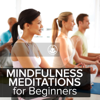 Mindfulness Meditation for Beginners - Guided Meditation
