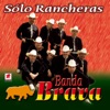 Solo Rancheras