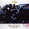 Life (Italo Disco) - Single